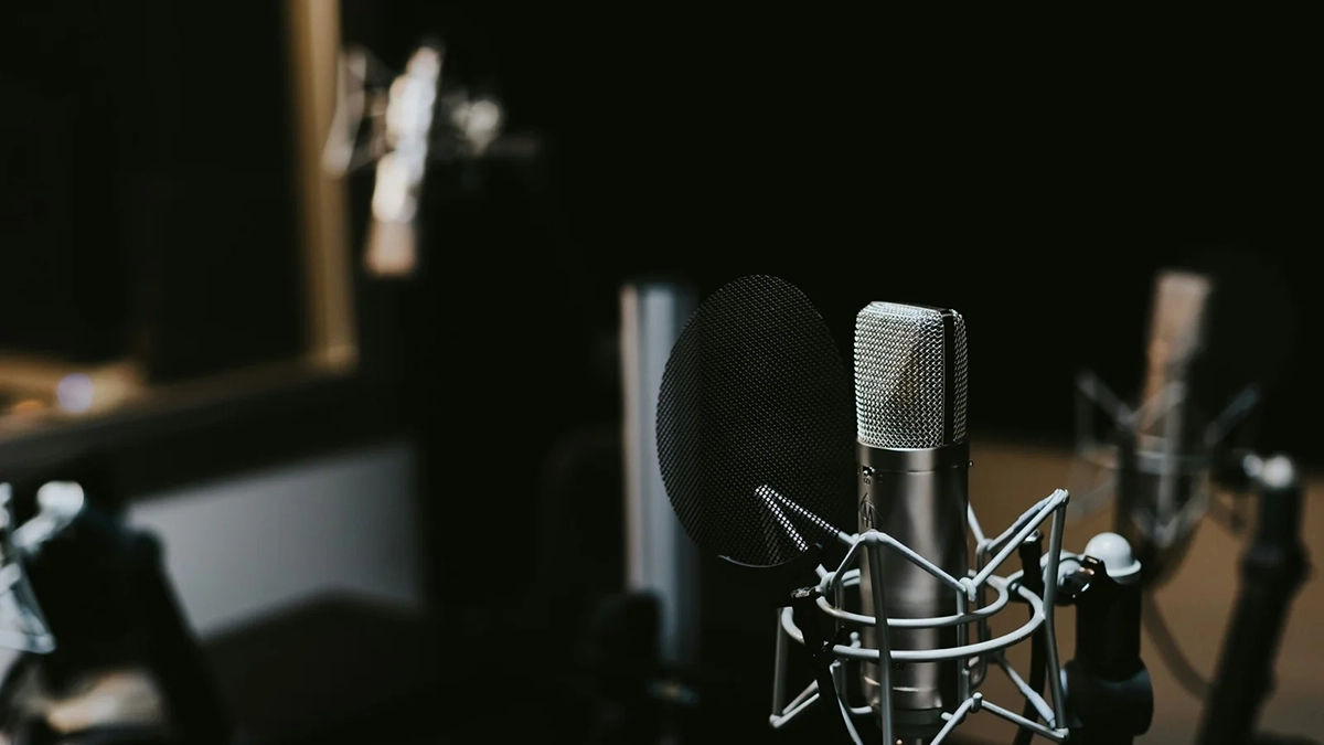 macro photography of silver and black studio microphone condenser