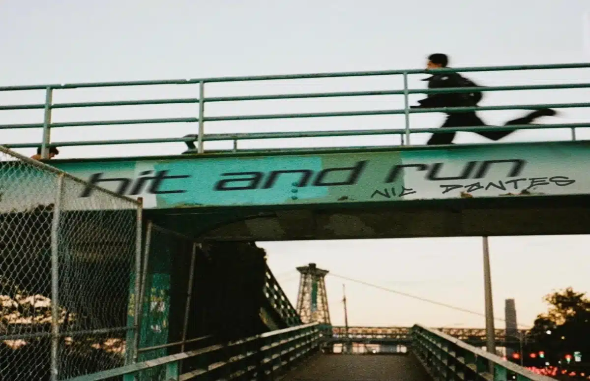 Hit and Run - Nic Dantes